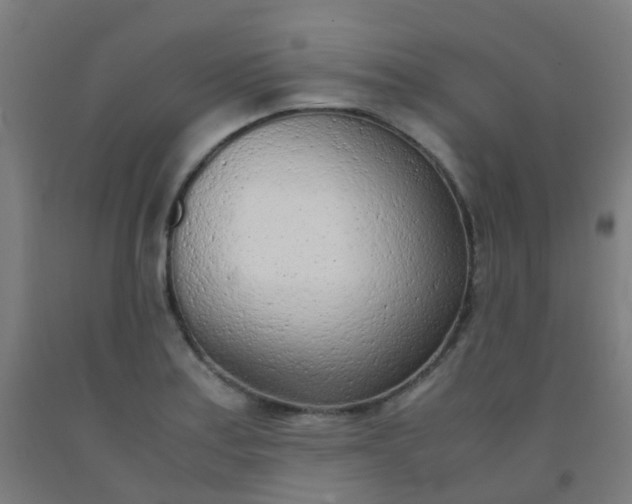 X0000092331179200709281420