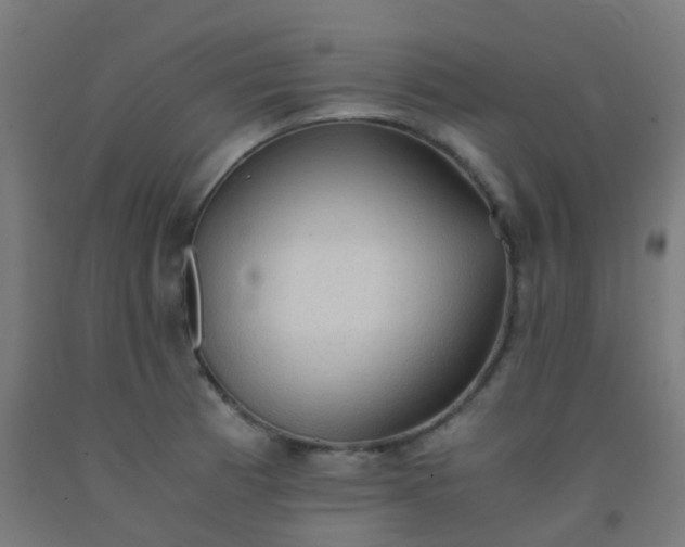 X0000092331185200709281420