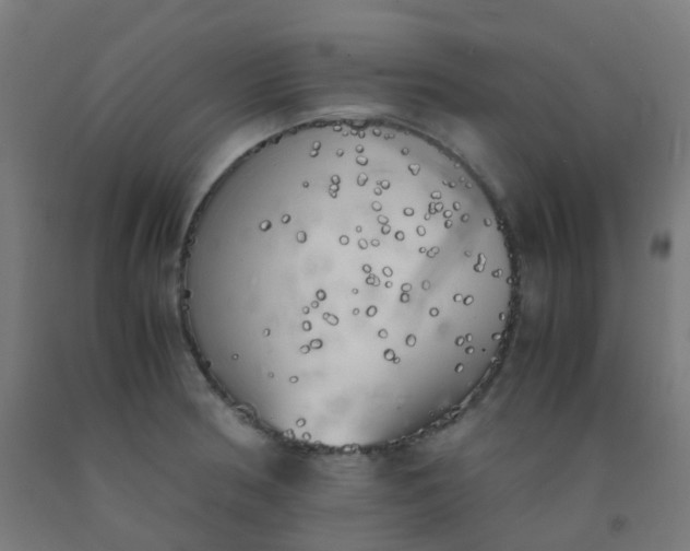 X0000092331186200709281420