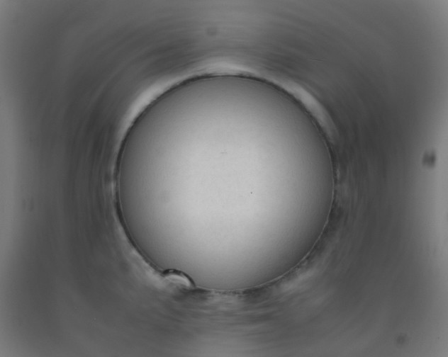 X0000092331191200709281420