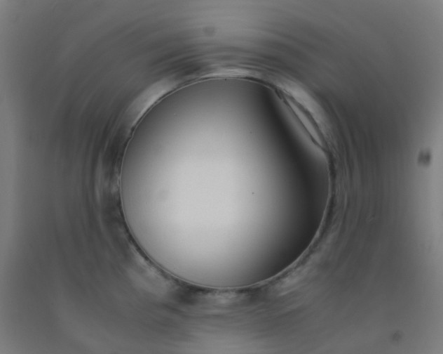 X0000092331193200709281420