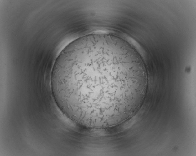 X0000092331194200709281420