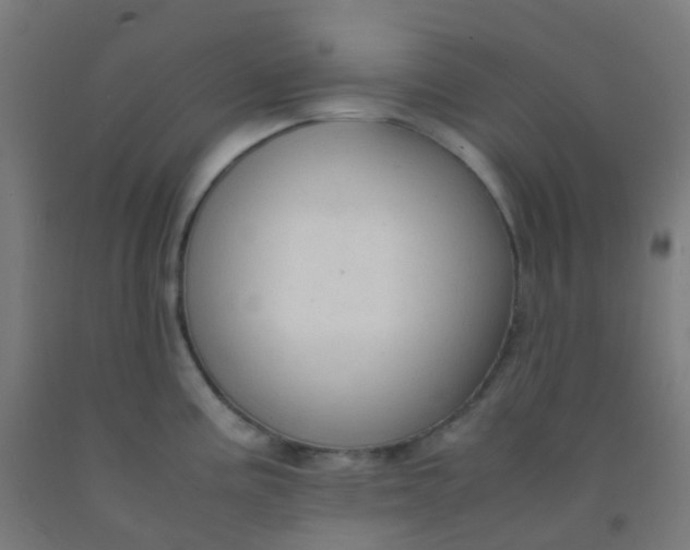 X0000092331195200709281420