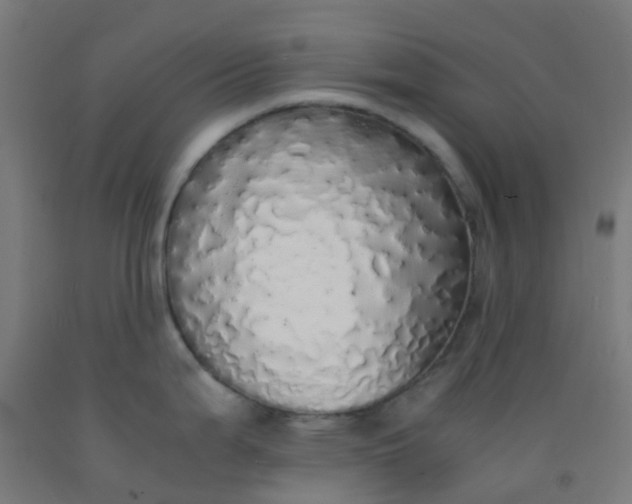 X0000092331199200709281420