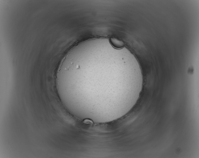 X0000092331201200709281419