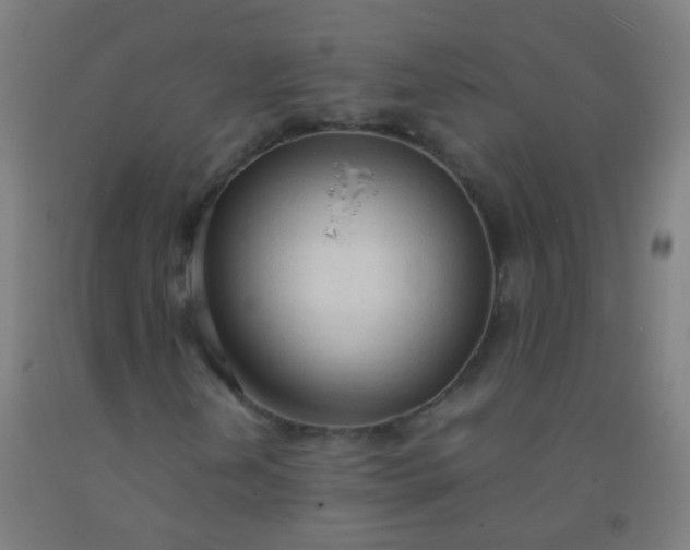 X0000092331202200709281419