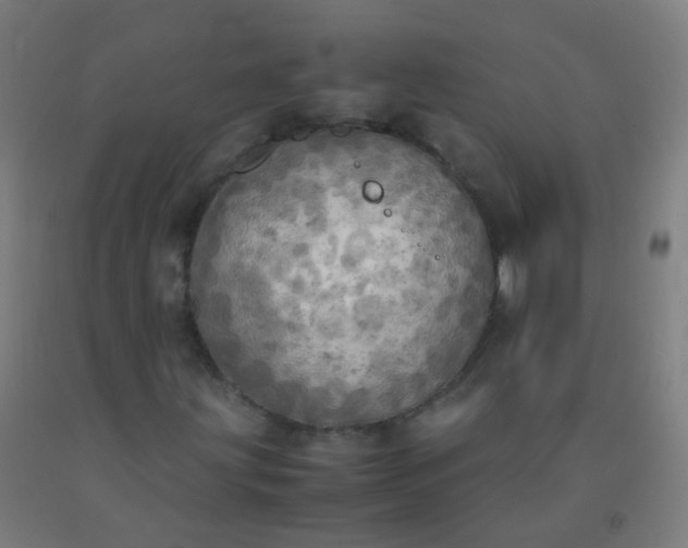 X0000092331203200709281419