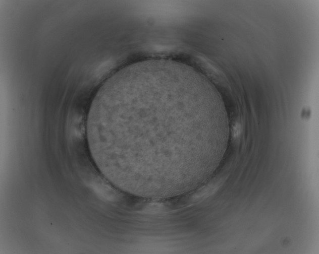 X0000092331204200709281419