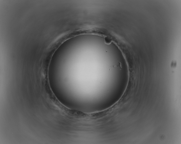 X0000092331206200709281419
