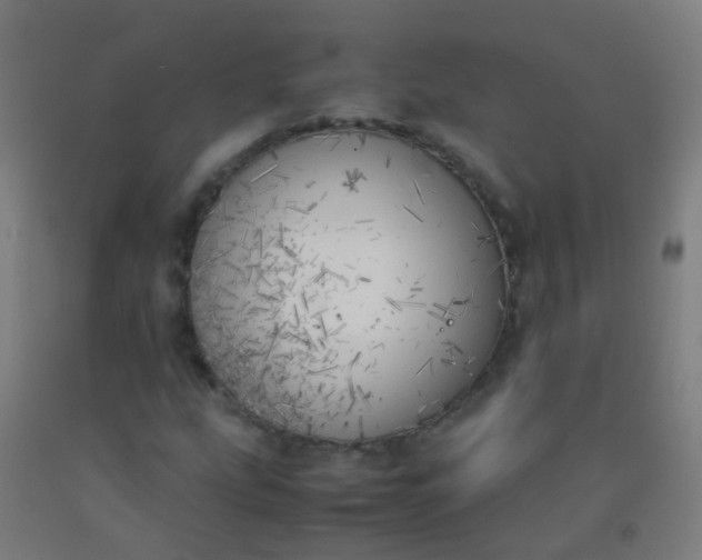 X0000092331207200709281419