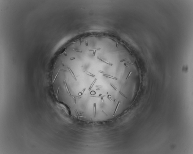 X0000092331208200709281419