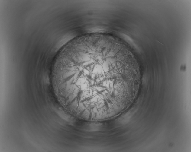 X0000092331209200709281419