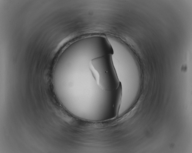 X0000092331210200709281419