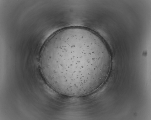X0000092331212200709281419