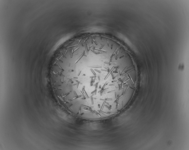 X0000092331213200709281419