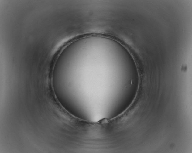 X0000092331214200709281419