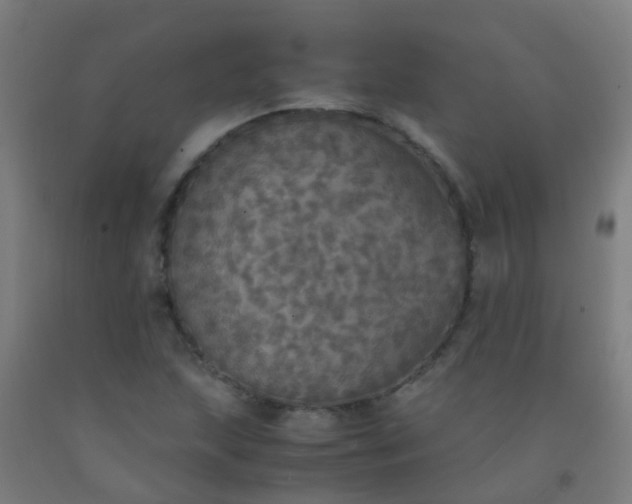 X0000092331215200709281419