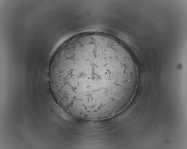 X0000092331216200709281419