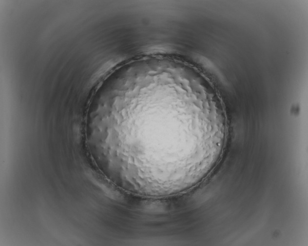 X0000092331217200709281419