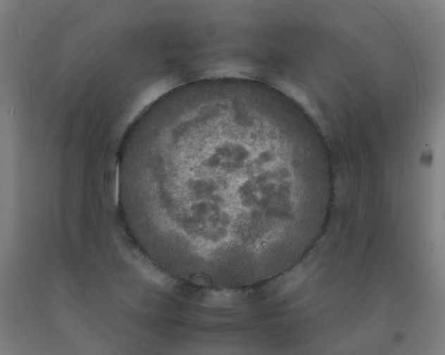 X0000092331219200709281419