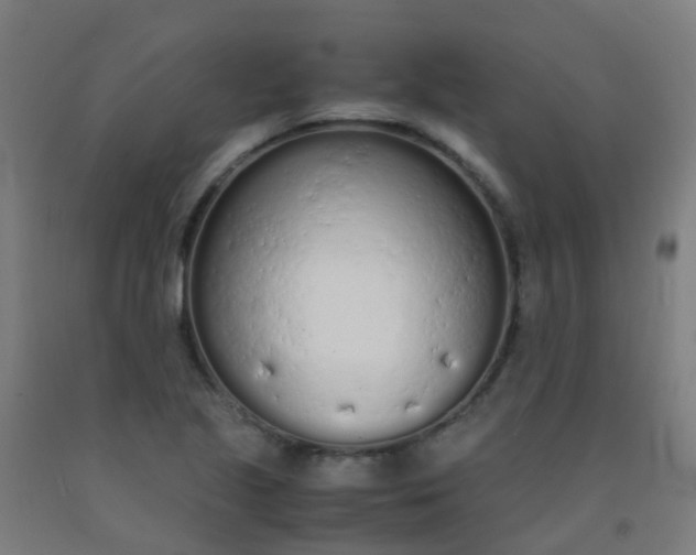 X0000092331221200709281419