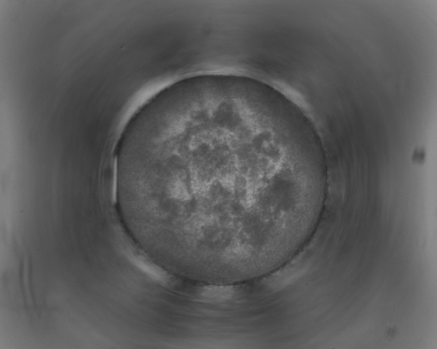 X0000092331223200709281419