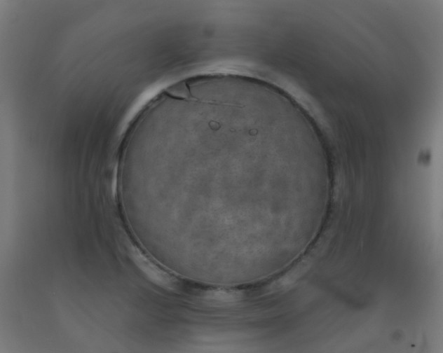 X0000092331224200709281419