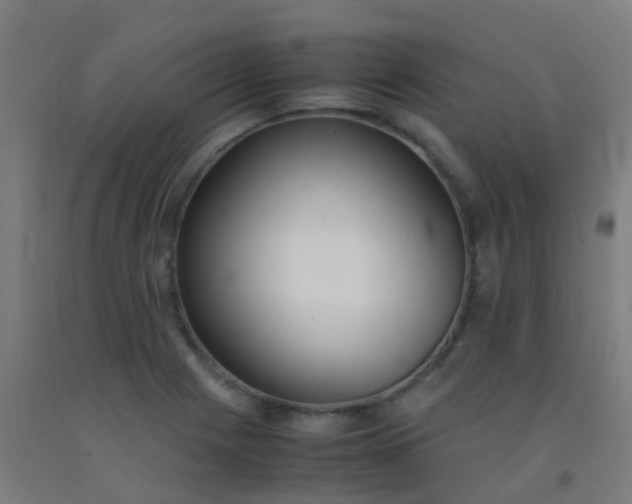 X0000092331225200709281419