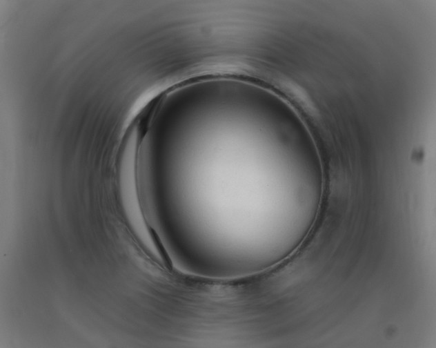 X0000092331226200709281419