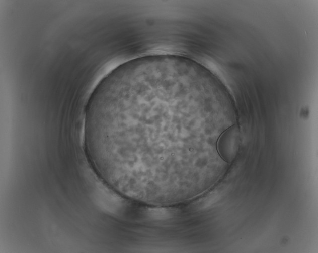 X0000092331227200709281419