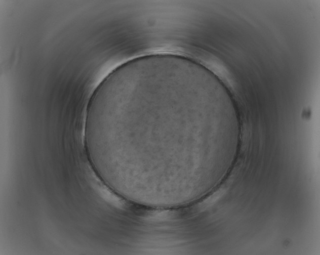 X0000092331228200709281419
