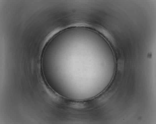 X0000092331229200709281419