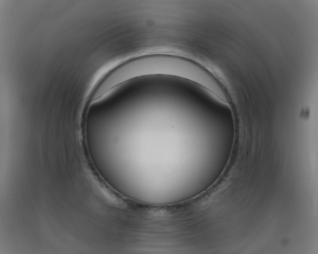 X0000092331230200709281419