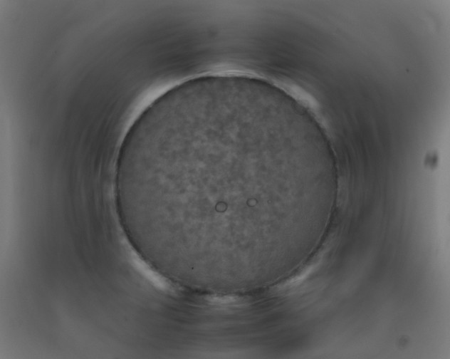 X0000092331231200709281419