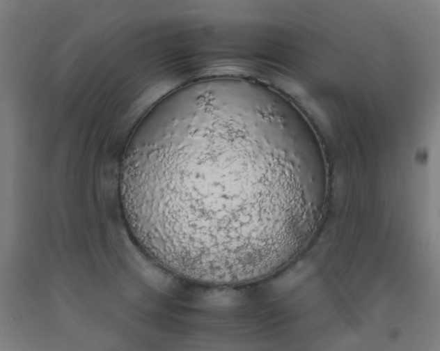 X0000092331233200709281420