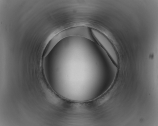 X0000092331234200709281420