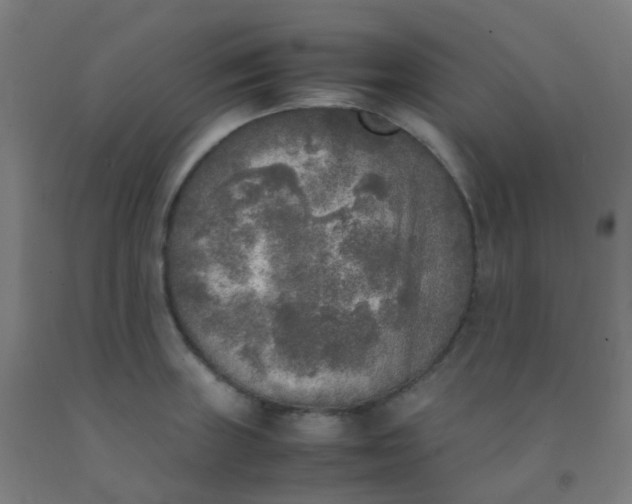 X0000092331235200709281420