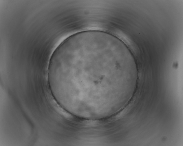 X0000092331236200709281420