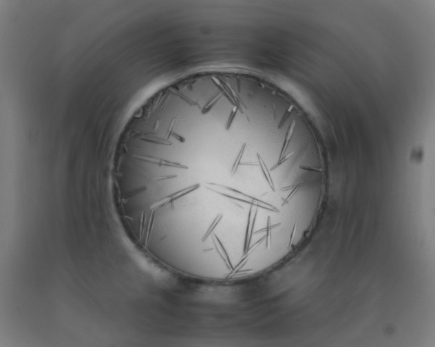 X0000092331237200709281420