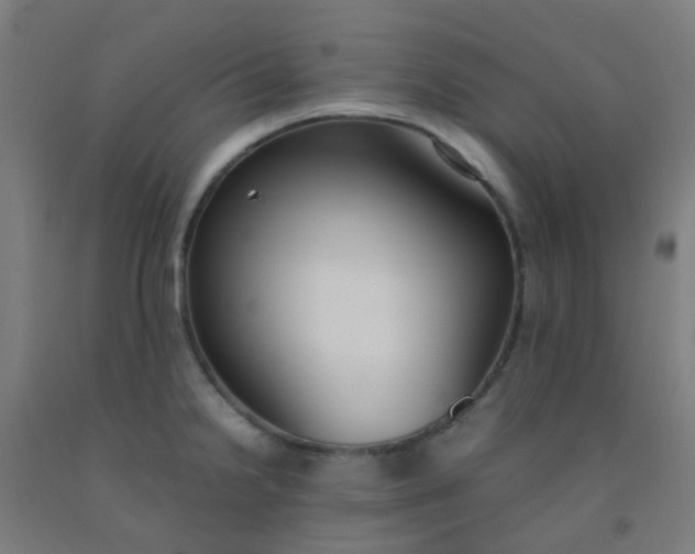 X0000092331238200709281420