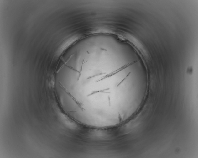 X0000092331241200709281420