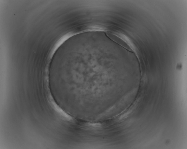 X0000092331243200709281420