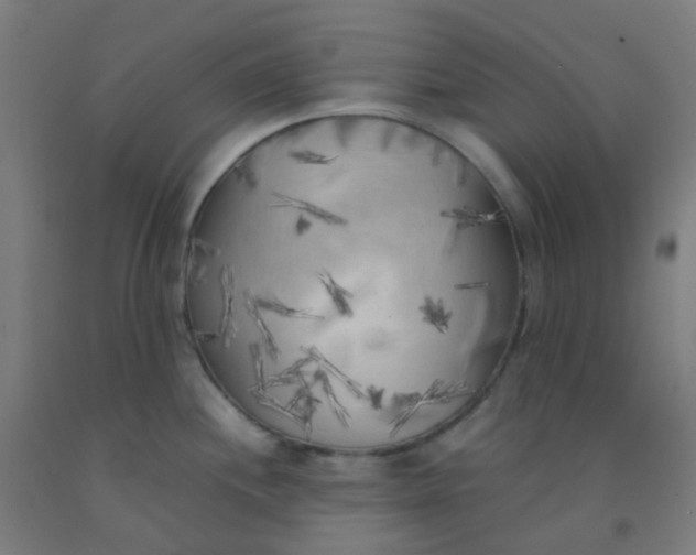 X0000092331244200709281420