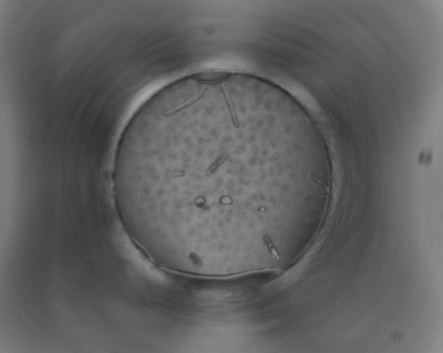 X0000092331248200709281420