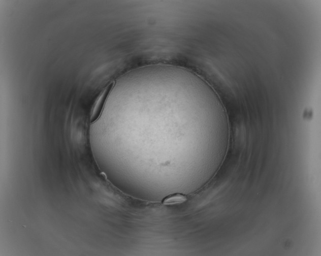 X0000092331250200709281419