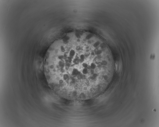 X0000092331251200709281419