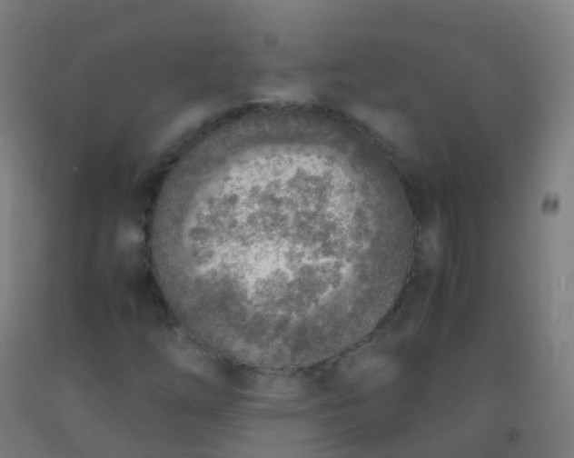 X0000092331254200709281419