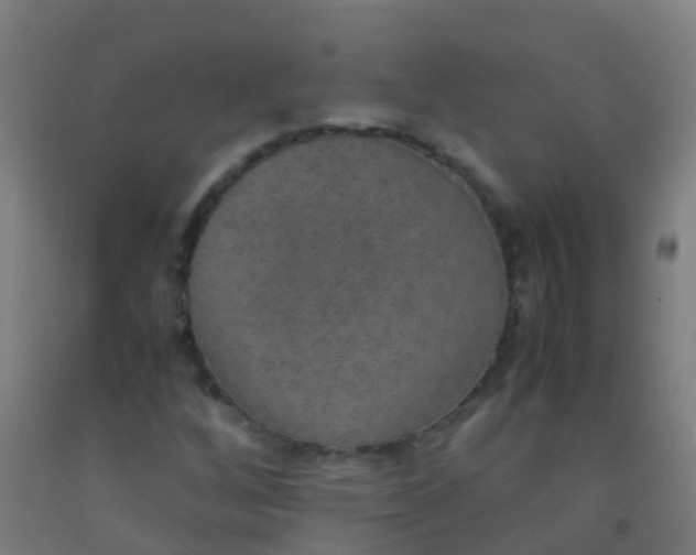 X0000092331256200709281419