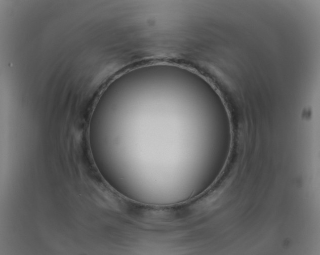 X0000092331257200709281419