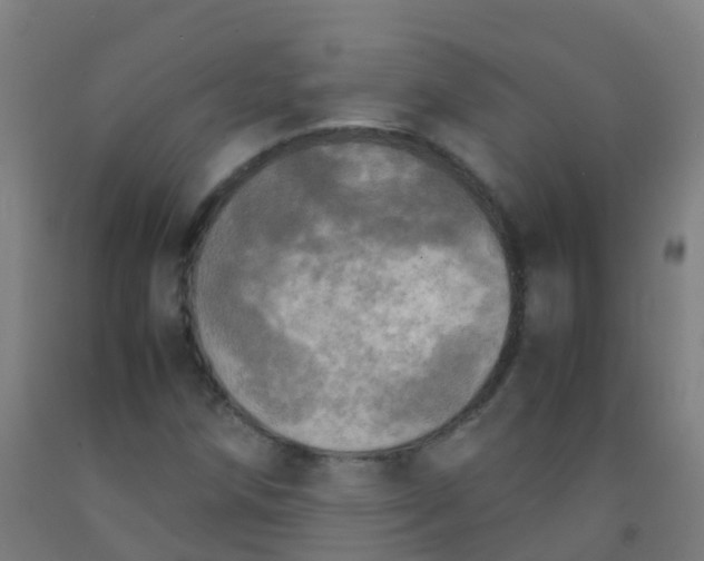 X0000092331258200709281419